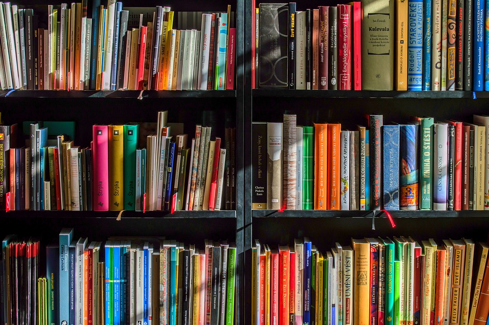 livre librairie lecture lire