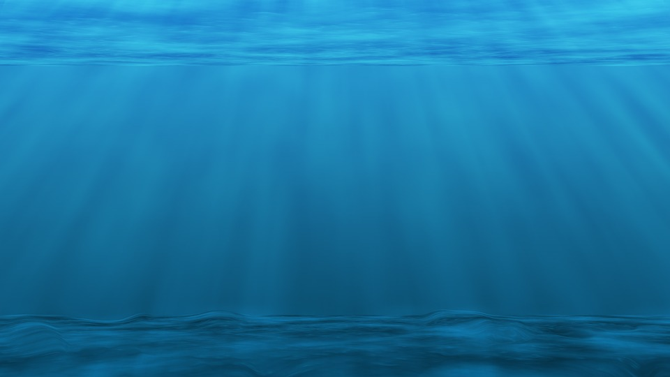 fond de l ocean fosse des mariannes