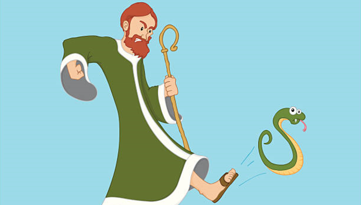 saint patrick serpents irlande