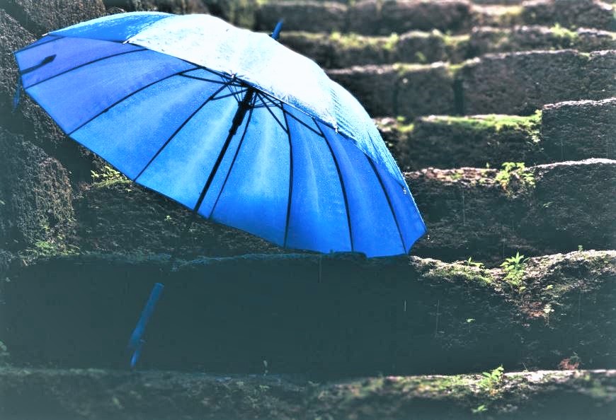 pluie petrichor