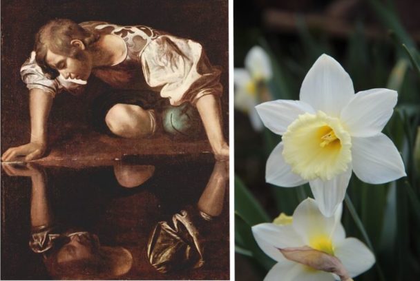 Mythologie : qui était Narcisse
