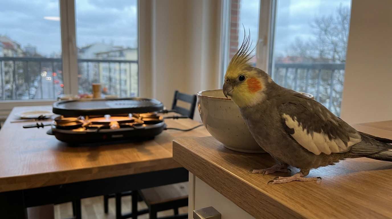 Pourquoi une simple poêle surchauffée peut provoquer une hémorragie fatale chez votre oiseau ?